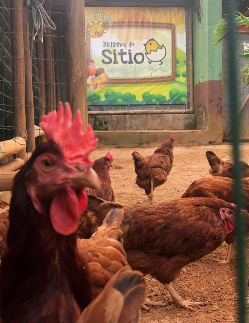 Sitio Robatto Ecopousada Camacari Luaran gambar